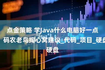 點金策略 學Java什么電腦好一點？碼農老鳥掏心窩建議_代碼_項目_硬盤